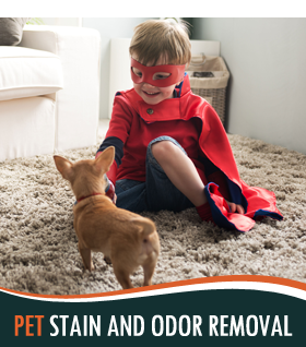 Removing Stains & Odor